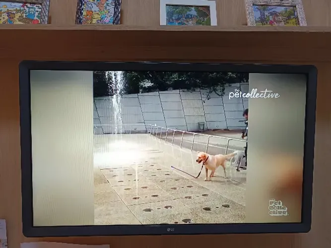 TV LG 32'' Modelo 32LK615BPSB