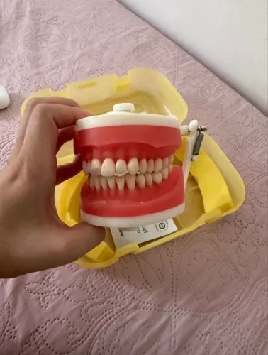 Manequim Pronew Dentistíca