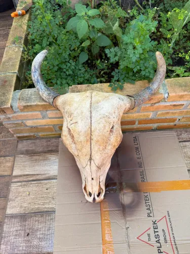 Decoração de fazenda