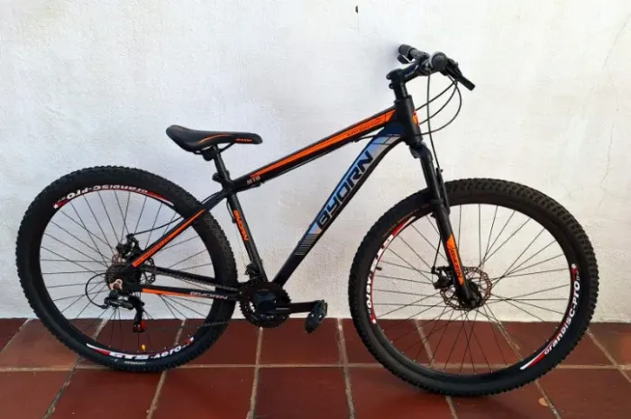 Bicicleta Mountain Bike Byorn