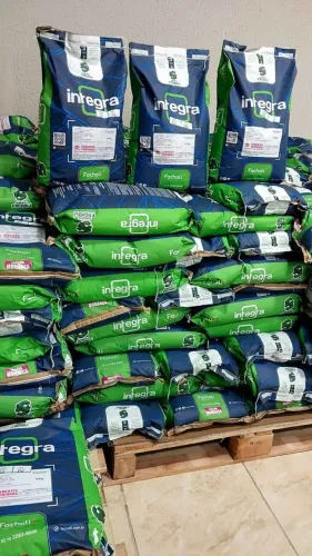 Mombaça 10kg revestida Facholli (Novo)