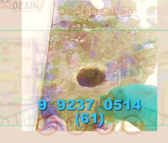 Desentupidora> Seu dinheiro vale mais aqui: vasos sanitarios etc.. na mola