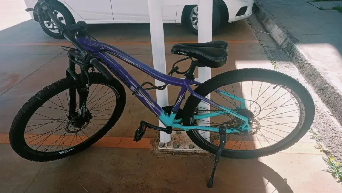 Bike aro 29