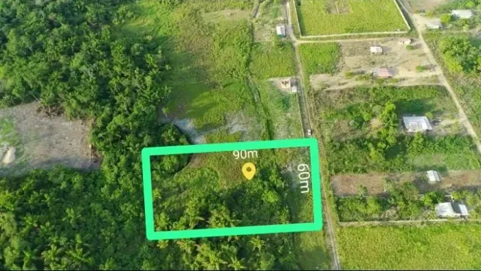 Lote de chácara em rorainópolis 