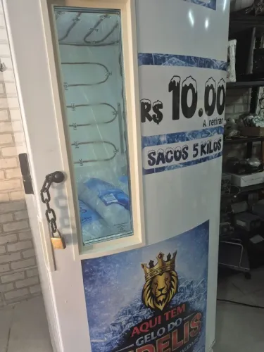 Freezer 220v vertical perfeito ja vai com sacos de gelo ok 2700.00