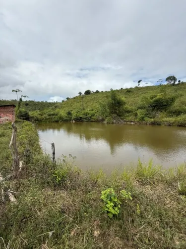 Sítio para Venda em Flexeiras, Zona Rural, 3 dormitórios, 1 banheiro