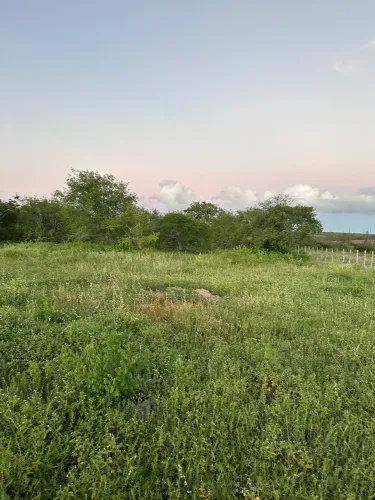 2 Hectares (terreno) proximo a catole de Boa Vista 