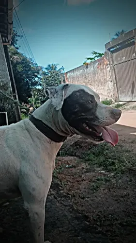 Doação