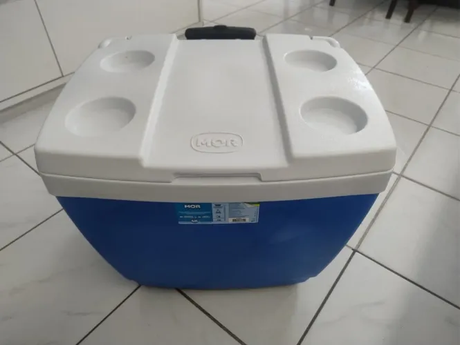 Caixa Térmica 42L com Alça Retrátil e Rodinhas