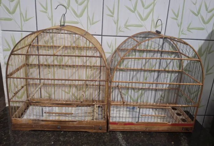 2 Gaiolas