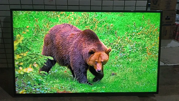 Tv Smart LG 60 Polegadas 4k Ultra HD Top de Verdade