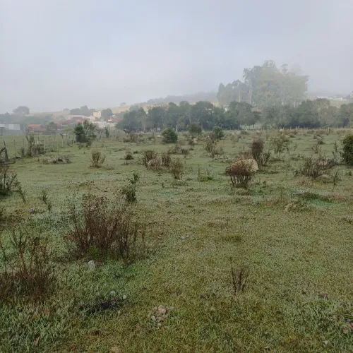 Terreno 6000m²