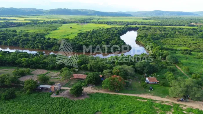 FAZENDA 200 HA À VENDA | BEIRA BR-349 | RIO CORRENTE | IRRIGAÇÃO INSTALADA | OESTE DA BAHI