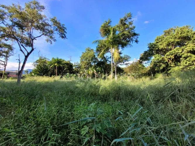 Terreno Amplo no Bairro São Pedro em Guabiruba