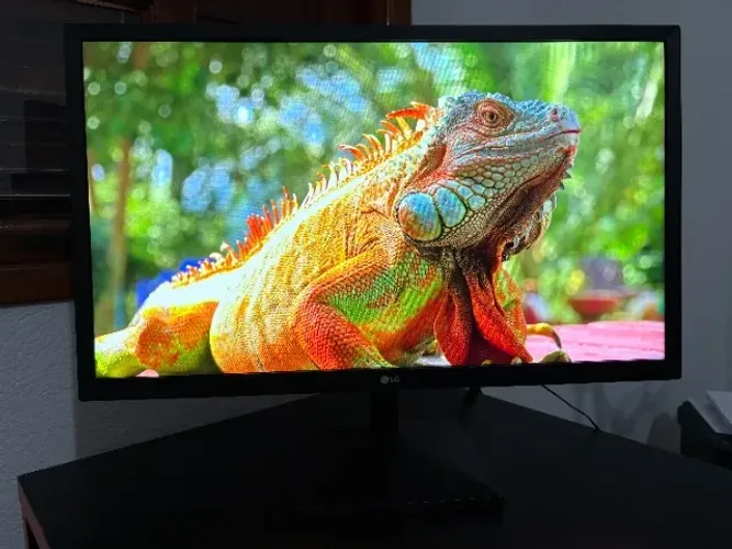 Monitor LG 24 IPS Full HD HDMI - Excelente estado