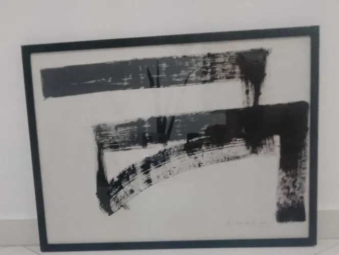 Artista Amílcar de Castro