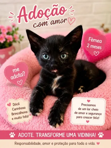 Adoção responsavel