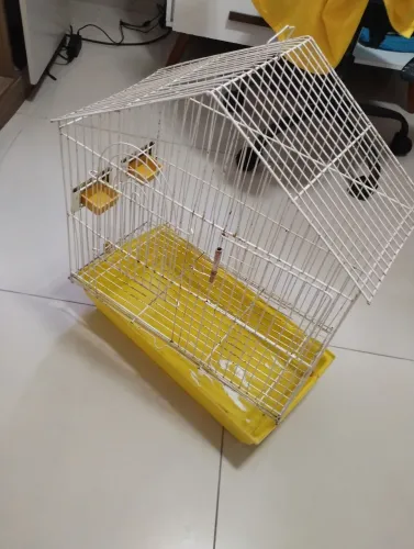 Gaiola para Pássaros Usada - 43cm de Largura x 53cm de Altura