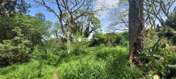 Sítio à venda no bairro Lageado com 36.800 m² e 1 dormitório/quarto disponível.