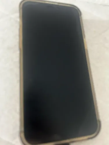 iPhone pro max