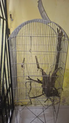 Gaiola