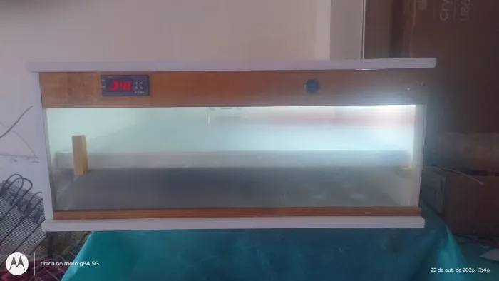 Chocadeira automática com viragem de ovos e ovoscopia 