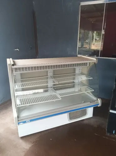 Freezer Expositor