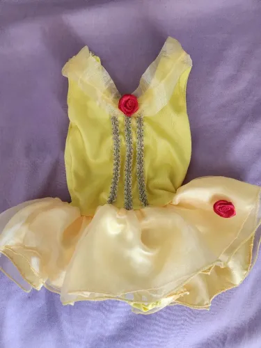 Fantasia mesversário princesa Bela