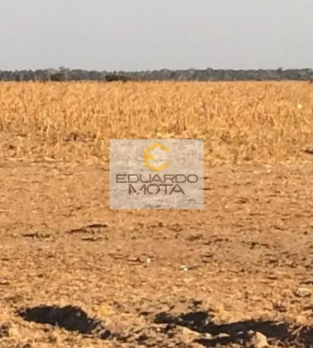 Fazenda em Centro - Vila Rica