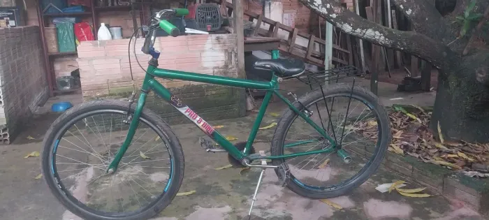 Bicicleta 