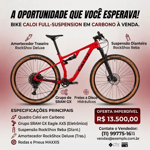 Bicicleta Full tamanho 17