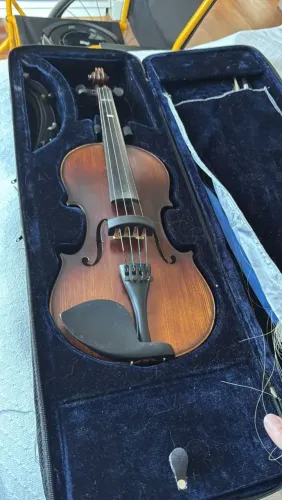 Violino
