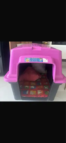 Casa para pet médio