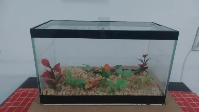 AQUÁRIOS PARA PEIXES E PARA TARTARUGA