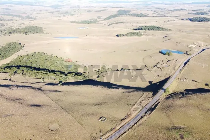 Área Rural com 29 Hectares em Jaquirana - Faxinal dos Pelúcios
