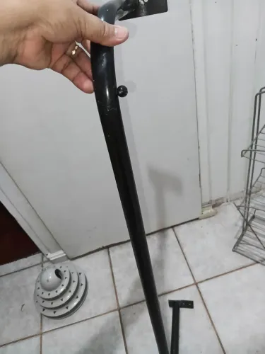 Arara. Grande de parede