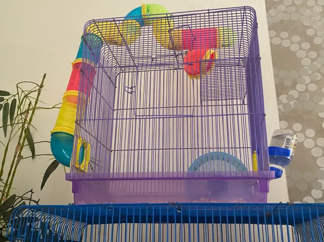 Gaiola pra hamster