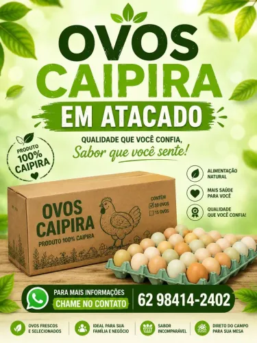 Ovos caipira no atacado e varejo