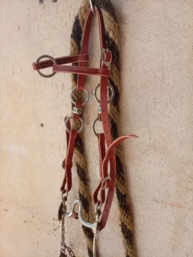 Rédea de crina cavalo 