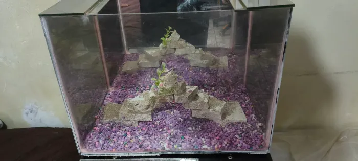 Aquário de vidro 40lts 