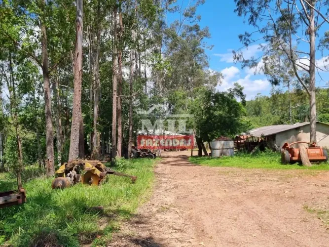 Fazenda 100 alqueires (484 hectares) Jaragua - GO