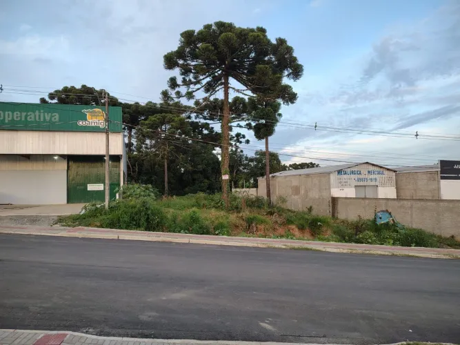 VENDO SOMENTE OS DOIS TERRENO JUNTOS 538 METROS, E 551 METROS TOTAL 1089 METROS QUADRADOS 