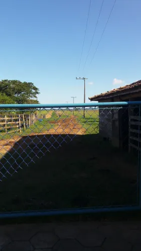 Arrendo para gado ou cavalos