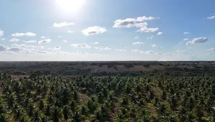 Área Estratégica de 30 Hectares às Margens da BR-101 | Excelente Potencial Logístico e Ind