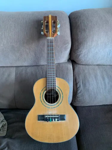 Cavaquinho elétrico Gianini