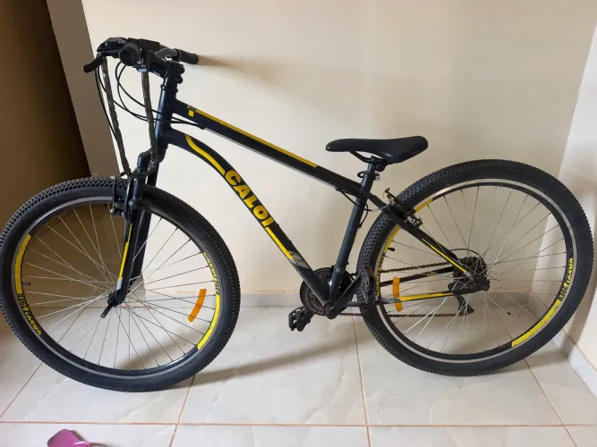 Bicicleta