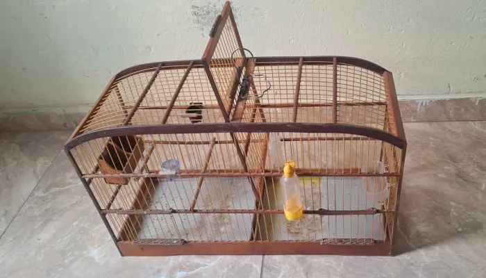Voador com divisória 60cm