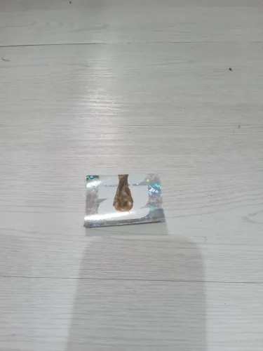 Figurinha da taça do mundo