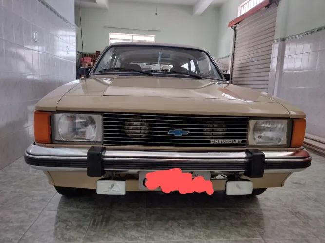 Chevrolet Caravan L/sl/s/ss 2.5/4.1/4.2 1980