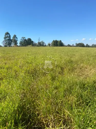 TERRENO OU AREA PARA CONDOMINIO 27.000M²
